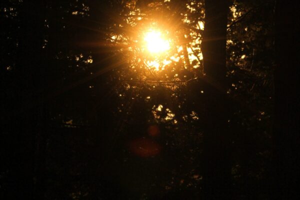 IMG_5107-min