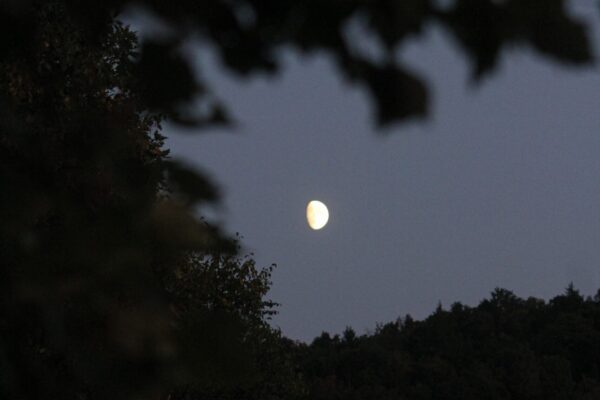 IMG_5124-min